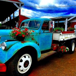 I accept offers.I give 2 to 3 items to one order at a substantial discount! ♡💚♡